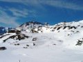 IMG-0481.jpg