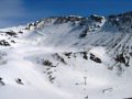 IMG-0486.jpg