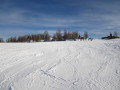 IMG-1350.JPG