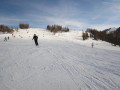 IMG-1351.JPG