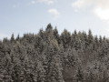 IMG-1363.JPG