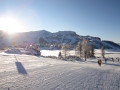 IMG-1366.JPG