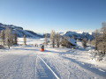 IMG-1367.JPG