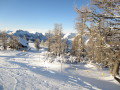 IMG-1368.JPG