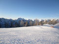 IMG-1379.JPG