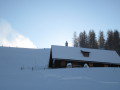 IMG-1381.JPG
