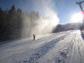 IMG-1386.JPG