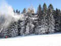 IMG-1389.JPG