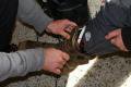 IMG-4400.jpg