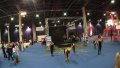 hoshow2009-06.JPG