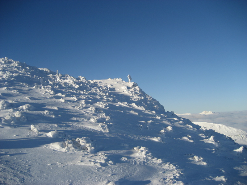 IMG-1867.JPG