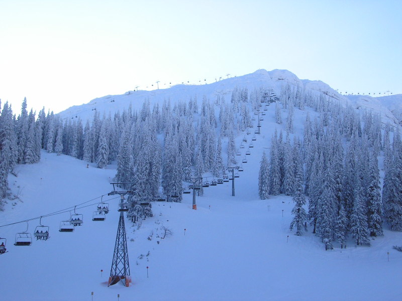 2008-12-28-002.jpg