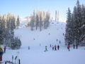 2008-12-28-003.jpg
