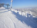 2008-12-28-022.jpg