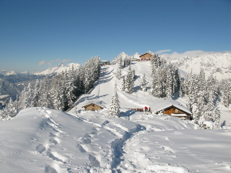 Hochwurzen top