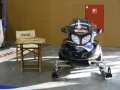 hoshow2008_10.JPG