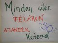 hoshow_2008_29.JPG