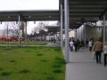 hoso_2008_09.JPG