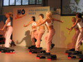 2004_hoshow_09.JPG