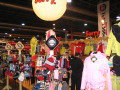 2005_hoshow_41.JPG