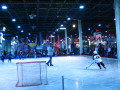 hoshow_2007_10.JPG