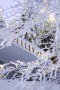 Entrance-in-winter---Hotel-Bellevue---Terme-maribor.jpg