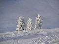 hotel-mirnock-afritz05.JPG