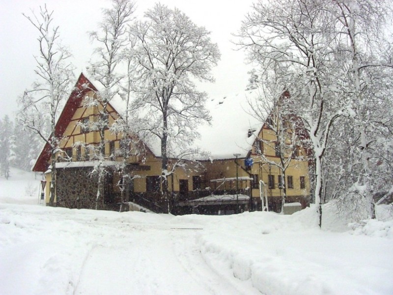 hotel-tulipan03.jpg