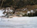 IMG-0437.jpg