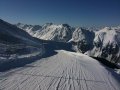 IMG-0445.jpg