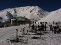 IMG-0548.jpg