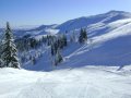 DSC02099.JPG