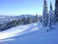 DSC02166.JPG
