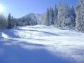 DSC02168.JPG