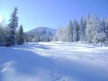 DSC02170.JPG