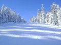 DSC02172.JPG