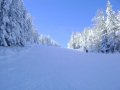 DSC02174.JPG