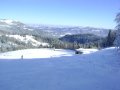 DSC02175.JPG