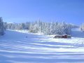 DSC02176.JPG