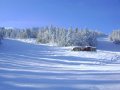 DSC02177.JPG