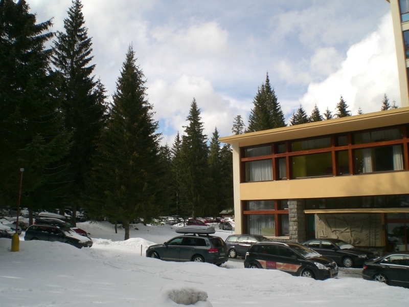 800-CIMG6688.JPG