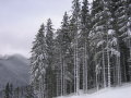 jasna_034.jpg