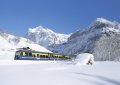 Jungfrau - Sv�jc&nbsp;(11 k�p)