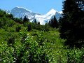 Jungfrau r�gi�&nbsp;(6 k�p)