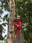 M�sz�fa a Sobri J�ska Bakonyi Kalandparkban,<br> Forr�s: <a href="http://www.bakonyikalandpark.hu" target="_blank">www.bakonyikalandpark.hu</a>