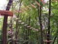 Erdei k�t�lp�lya a Kalandt�ra Parkban<br> Forr�s: <a href="http://www.kalandturapark.hu/main.php" target="_blank">www.kalandturapark.hu</a>