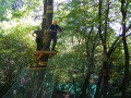 Erdei k�t�lp�lya a szilv�sv�radi Kalanderd�ben<br> Forr�s: <a href="http://www.kalanderdo.hu" target="_blank">www.kalanderdo.hu</a>