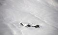 Kanada feeling - Zell am See - m�ly porh� - 2012. janu�r 7.