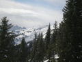 PB300074.JPG