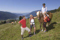 Lovasok - Copyright® K�rnten Werbung/Gerdl